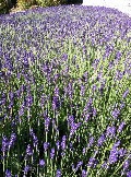 Авторский рекламный тур Switzerland  Panoramic tour -3D 09.06-16.06.2014_007.jpg